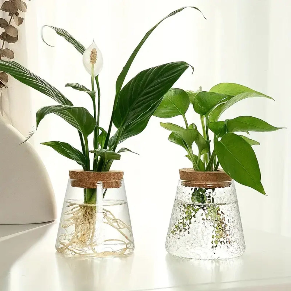 Hydroponic Plants Glass Flower Pots Home Decoration Transparent Small Vase Plant